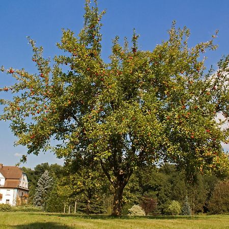 Hotel Jaegerhof 스타츠바드브루케나우 외부 사진